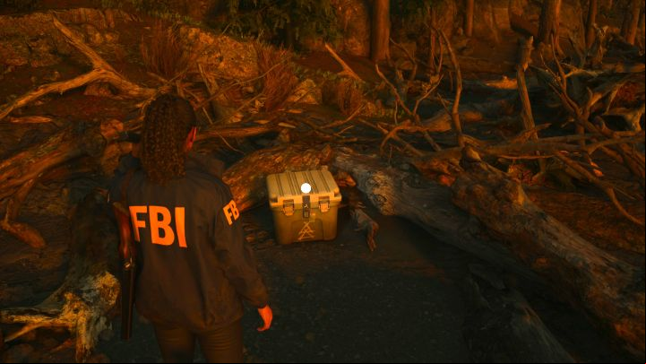 6 - Alan Wake 2: All Cult Stashes in Cauldron Lake - Cult Stashes - Alan Wake 2 Guide