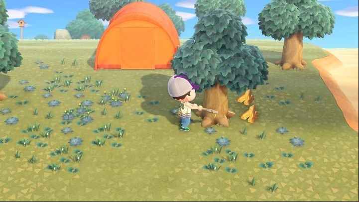 Three types of wood can drop from a tree: wood, hardwood, and softwood. - ACNH: Raw materials and resources - where to find them? - Gameplay mechanics - Animal Crossing New Horizons Guide