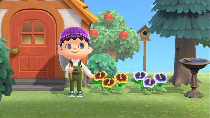 You will pick up your mail every morning - from your mailbox in front of the house. - ACNH: Mail - when does it come? - Gameplay mechanics - Animal Crossing New Horizons Guide