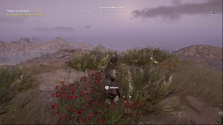 Description: Head to the peak of Mt Ida, where youll find red flowers - AC Odyssey: Messara, Side Quests - Side Quests - Assassins Creed Odyssey Guide