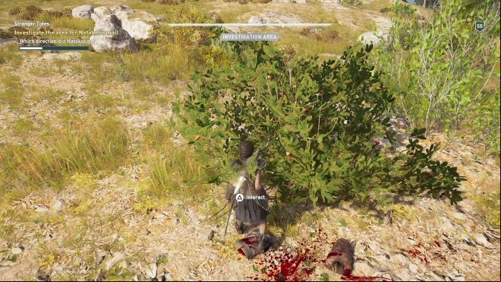 Together with Darius, go looking for his descendant - AC Odyssey Legacy of the first blade: Stranger Tides - Episode 2 - Shadow Heritage - Assassins Creed Odyssey Guide