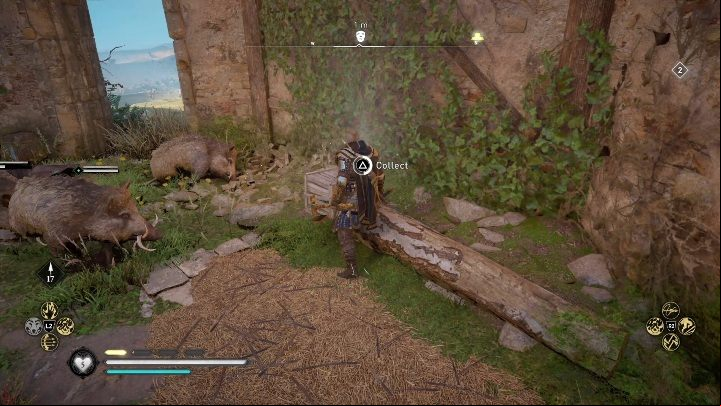 Here, you will come across the ruins where enemies and wild boars lurk - Assassins Creed Valhalla: Roman artifact - Hamtunscire aecrets, locations - Hamtunscire - Assassins Creed Valhalla Guide and Walkthrough