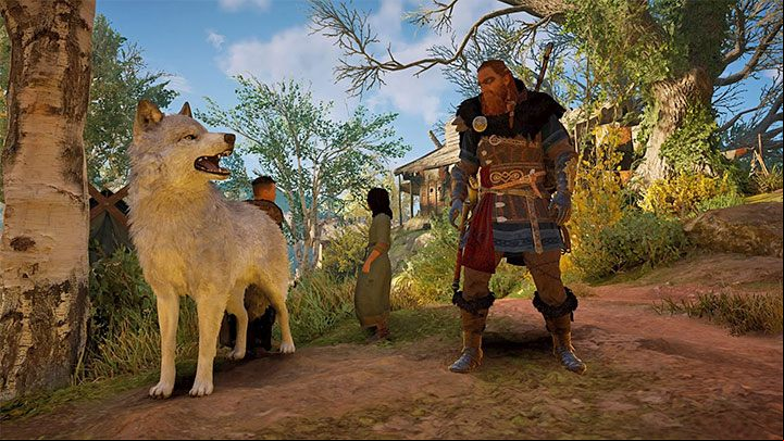 As a reward for completing the quest you will gain Man's Best Friend ability It allows you to summon the wolf and use it to attack enemies - Assassins Creed Valhalla: Can you own a pet? - Eivor - Assassins Creed Valhalla Guide and Walkthrough