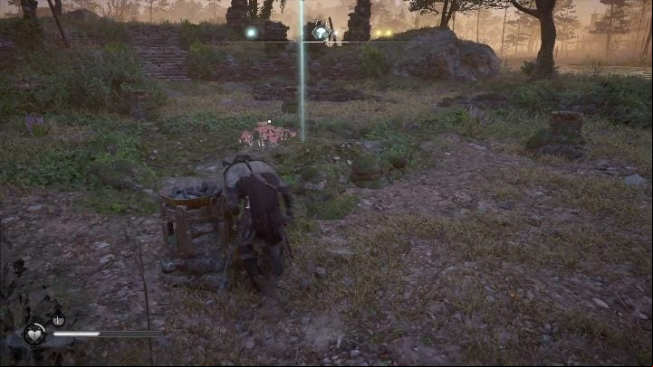 You will find Fly Agaric in the northern part of the region, just below the Monastery on Ely Island - Assassins Creed Valhalla: Fly Agaric - Grantebridgescire secrets, locations - Grantebridgescire - Assassins Creed Valhalla Guide and Walkthrough