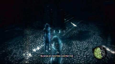 After your apprentice report the situation, use the Eagle Sense and follow the golden trail - Missions 3-5 - Master Assassin Missions - Assassins Creed: Revelations - Game Guide and Walkthrough