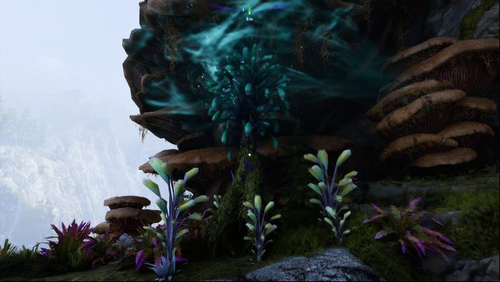 17 - Avatar Frontiers of Pandora: All Bellsprigs - Clouded Forest - Secrets and Collectibles - Avatar Frontiers of Pandora Guide