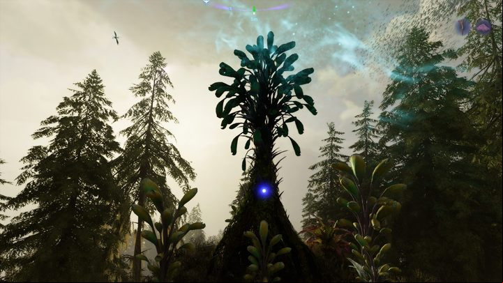 11 - Avatar Frontiers of Pandora: All Bellsprigs - Clouded Forest - Secrets and Collectibles - Avatar Frontiers of Pandora Guide