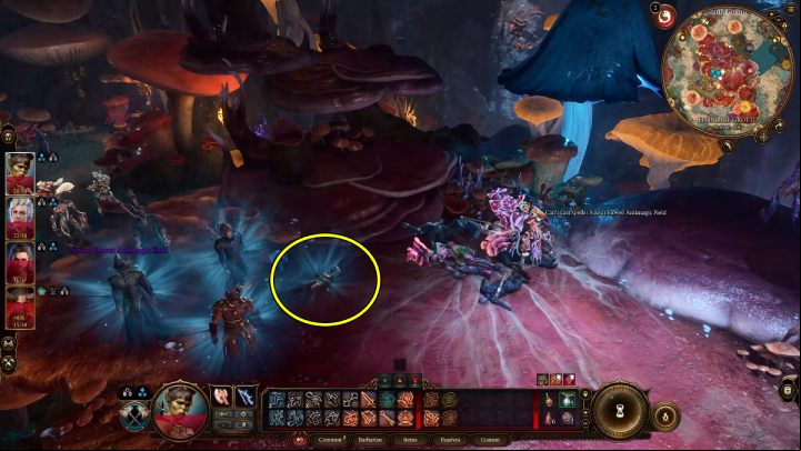 You will find the gnome in the Mykonid colony, she will be lying on a large mushroom - Baldurs Gate 3: Underdark in BG3 - walkthrough - Act 1 - Baldurs Gate 3 Guide, Walkthrough