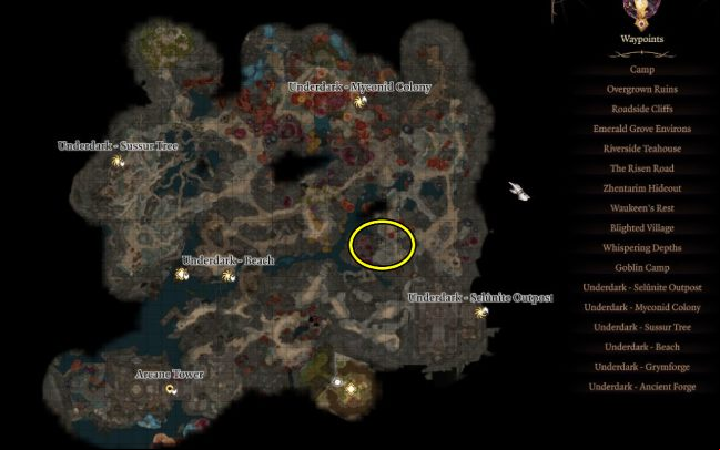 10 - Baldurs Gate 3: Underdark in BG3 - walkthrough - Act 1 - Baldurs Gate 3 Guide, Walkthrough