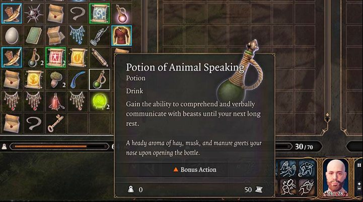 Communication with animals is possible in several different ways - Baldurs Gate 3: How to talk to animals? - Exploration - Baldurs Gate 3 Guide, Walkthrough