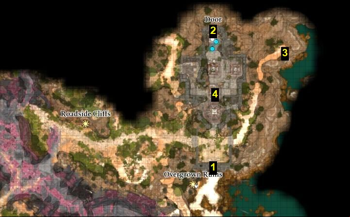 The Overgrown Ruins are located to the north of the beach and to the east of the Nautiloid ship ruins - Baldurs Gate 3: How to enter Overgrown Ruins - Puzzle solution - Puzzles - Baldurs Gate 3 Guide, Walkthrough