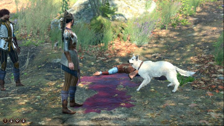 1 - Baldurs Gate 3: How to adopt Scratch the dog? - Character & party development - Baldurs Gate 3 Guide, Walkthrough