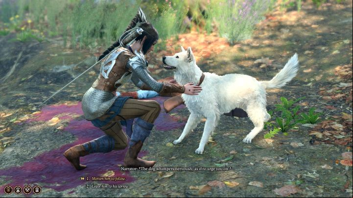 Your task is to tame a dog so that it can be stroked and adopted by the main character - Baldurs Gate 3: How to adopt Scratch the dog? - Character & party development - Baldurs Gate 3 Guide, Walkthrough
