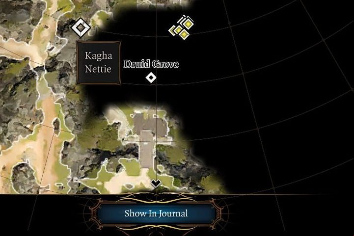 This mechanic works both ways - Baldurs Gate 3: How to find quest Locations? - Campaign - Baldurs Gate 3 Guide, Walkthrough