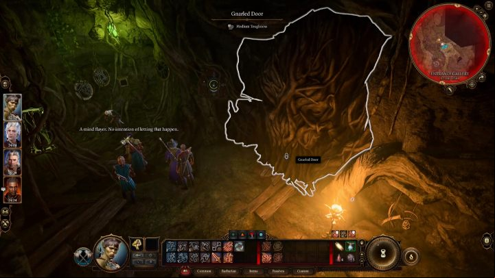2 - Baldurs Gate 3: Teahouse in BG3 - walkthrough - Act 1 - Baldurs Gate 3 Guide, Walkthrough