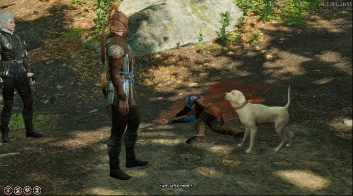 Scratch, the dog - Baldurs Gate 3: Blighted Village - map - World Atlas - Baldurs Gate 3 Guide, Walkthrough