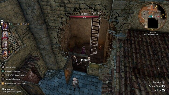 Jump down to the lower level from the temple tower and talk to Gale's Tressym - Baldurs Gate 3: Find the Missing Letters - Act 3 - Baldurs Gate 3 Guide, Walkthrough