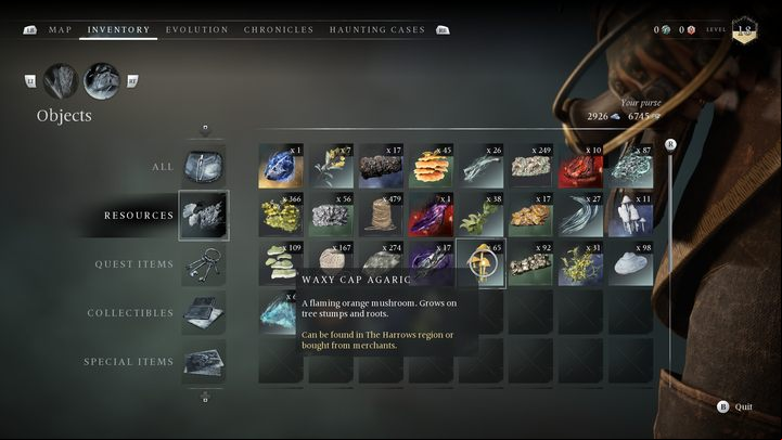 A mushroom of orange color - Banishers Ghosts of New Eden: All Ritual resources - Basics - Banishers Ghosts of New Eden Guide