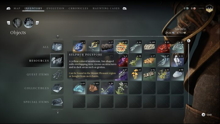 A characteristic mushroom with a bright, orange color - Banishers Ghosts of New Eden: All Ritual resources - Basics - Banishers Ghosts of New Eden Guide