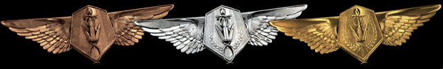 Additionally, the Assault class is assigned three assignments which completing will grant you special awards - Assault Class - Classes / Functions - Battlefield 4 - Game Guide and Walkthrough