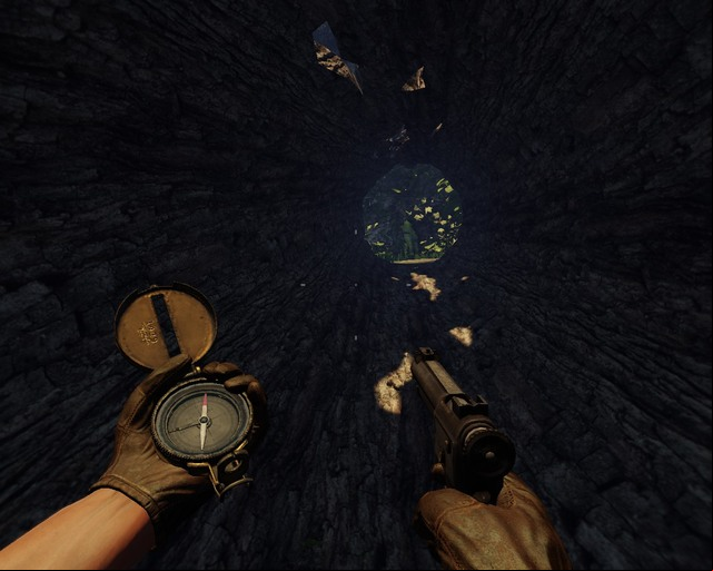 You have to go along this path inside a tree to get to the statue. - Mayan Jungle | Treasures - Treasures - Deadfall Adventures Game Guide & Walkthrough
