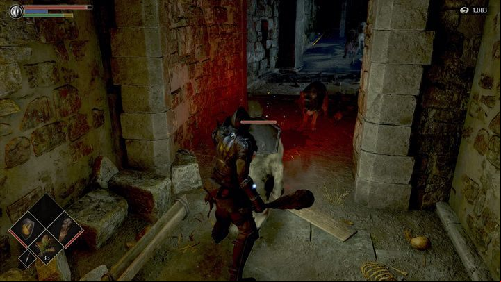 Going forward, you will again fight some wolves - Demons Souls Remake: The Lords Path (1-2) - solution, walkthrough - Boletarian Palace (Region 1) - Demons Souls Remake Guide