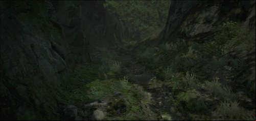 When you leave the hut, you'll see Quina running on a sideway path - it's a shortcut leading to the vicinity of the village - Lost and Found - Act I - Dragons Dogma - Game Guide and Walkthrough