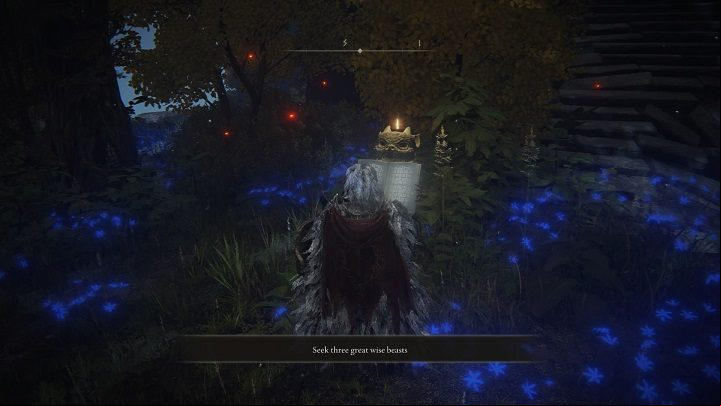 You must solve a puzzle to enter Chelona's Rise - Elden Ring: List off all Legendary Sorceries and Incantations - Trophy Guide - Elden Ring Guide
