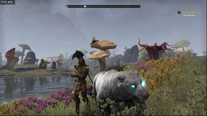 Morrowind, the expansion to Elder Scrolls Online, introduces a new character class - Introduction to Warden - Warden Class - The Elder Scrolls Online Guide