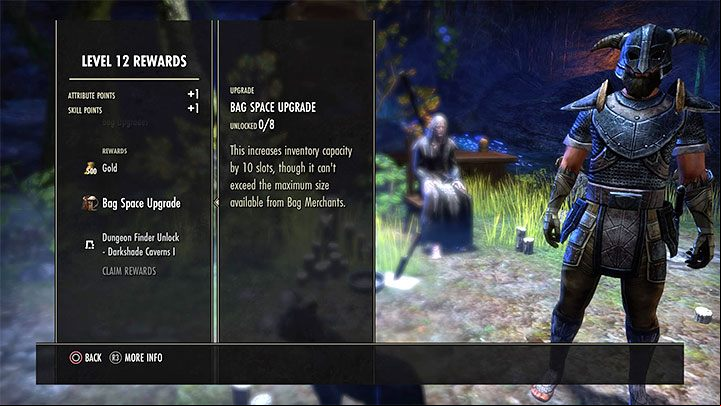 The Bag Space Upgrade allows you to permanently increase inventory by 10 slots - ESO: Inventory - how to expand it? - Game guide - The Elder Scrolls Online Guide