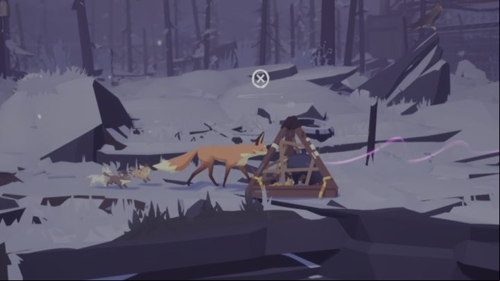 Over the course of 9 days, while tracking down the missing cub, you will encounter the same badger trapped in a snare - Endling: Endings - Basics - Endling Guide, Walkthrough