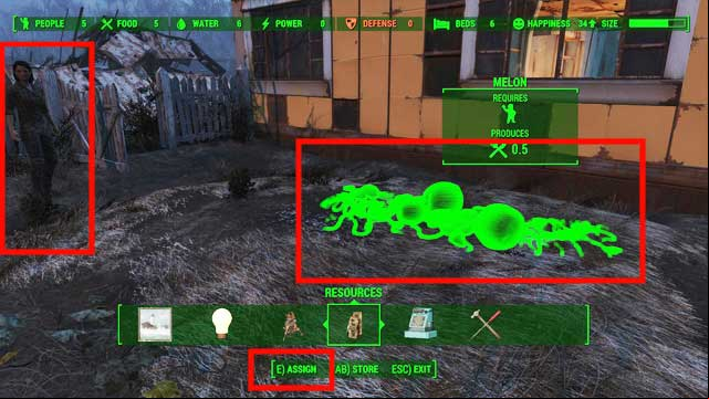 You can assign any settler you want to a specific crop. - Fallout 4: Settlement management - Creating settlements - Fallout 4 Game Guide & Walkthrough