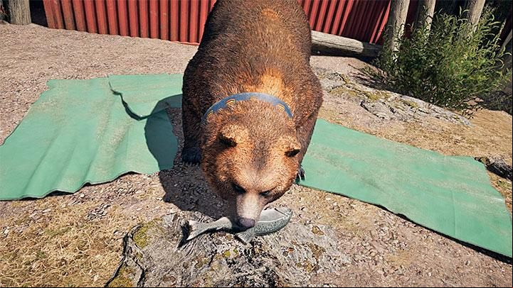 Only after you have secured the F - Specialists in Far Cry 5 (Companions) - Guidebook - Far Cry 5 Game Guide