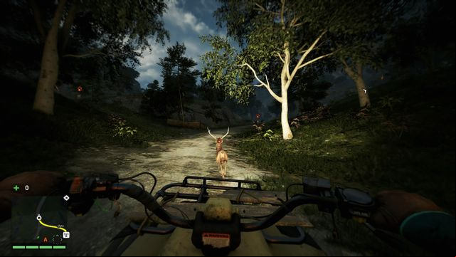 If you cant catch a running animal you can just run over it and then exit your vehicle and without any problem take the carcasss skin. - Hunting - The Basics - Far Cry 4 - Game Guide and Walkthrough