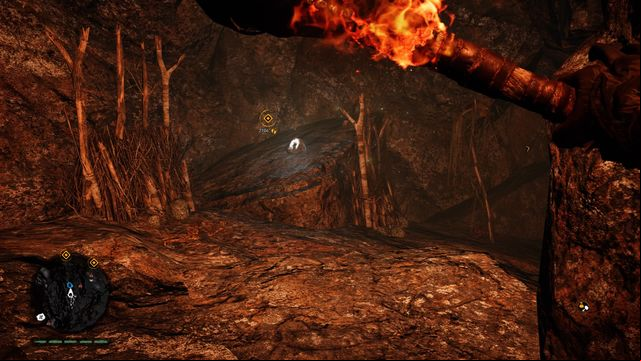 You will reach a place where you have to swing on a rope (above the water) to reach a ledge on the other side - Daysha Hands 1-10 - Northern Oros - Far Cry Primal - Game Guide and Walkthrough