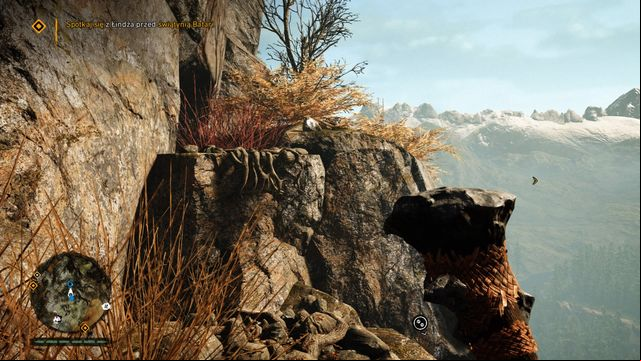 When you are near a bonfire, climb down to a ledge right below it - Daysha Hands 11-20 - Central Oros - Far Cry Primal - Game Guide and Walkthrough