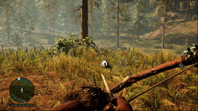In the center of the island - Daysha Hands - Southern Oros - Far Cry Primal - Game Guide and Walkthrough