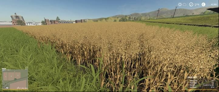 The harvest takes place when the plant reaches its last growth stage - thats when it turns a characteristic yellow color. - Farming Simulator 19: Grains - how to grow? Guide - Field work - Farming Simulator 19 Guide and Tips