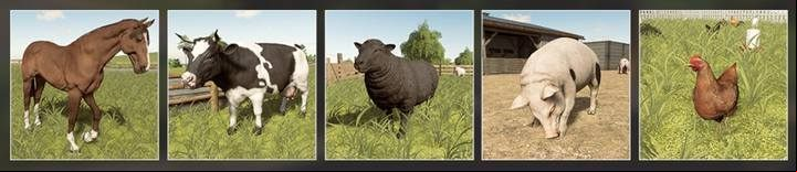 In Farming Simulator 19 you can breed 5 species of animals. - Farming Simulator 19: Farm animals, tips - Husbandry - Farming Simulator 19 Guide and Tips