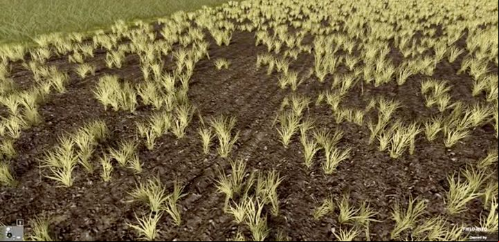 Usually, germination failure happens only in small areas on the field devoid of plants; in critical situations, however, such as very low temperatures, it can lead to the loss of all seeds on the field - Farming Simulator 19: Seasons 19 - Plant cultivation - Seasons 19 - Farming Simulator 19 Guide and Tips