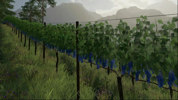Olives and grapes belong to production chains - Farming Simulator 22: Fruit-growing - Orchards & greenhouses - Farming Simulator 22 Guide