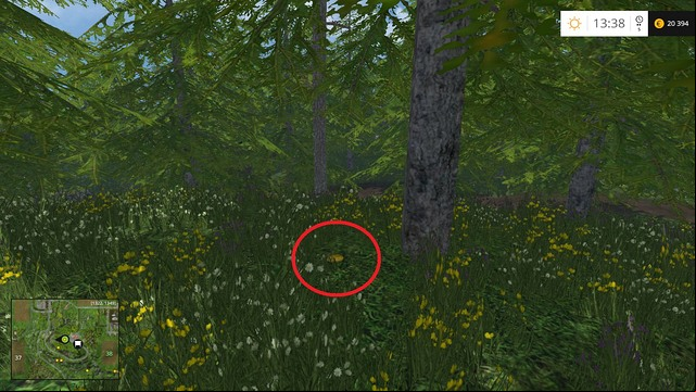 In the grass, under a tree - Section F - coins 70 - 89 - Gold Coins - Farming Simulator 15 Game Guide