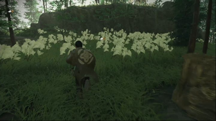 The mission will begin with a conversation with Kii - Ghost of Tsushima: The Value of Sake walkthrough, Tales of Tsushima - Other tales - Ghost of Tsushima Guide, Walkthrough