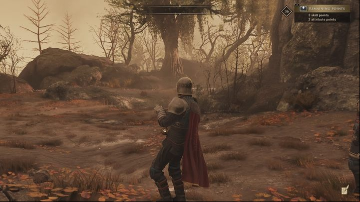 A marshy area where you will find an interesting hermit - GreedFall: World Map - World Map of GreedFall - GreedFall Guide