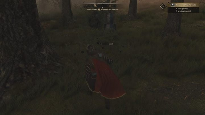 Talk to the locals in the village - GreedFall: Quest for Panacea - walkthrough - A Cure for Malichor - GreedFall Guide