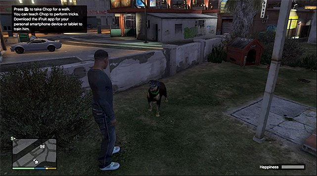 Two basic modes of interaction with the dog is walking him and throwing him a ball - GTA 5: Chop guide - Friendships and Love Affairs - GTA 5 Guide
