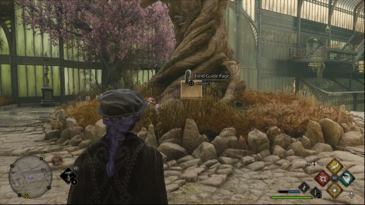 Name: Greenhouse Tree - Hogwarts Legacy: The Library Annex - Field guide pages - Hogwarts Legacy Guide