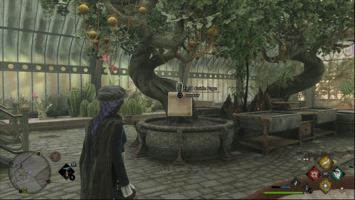 Name: Dirigible Plums - Hogwarts Legacy: The Library Annex - Field guide pages - Hogwarts Legacy Guide