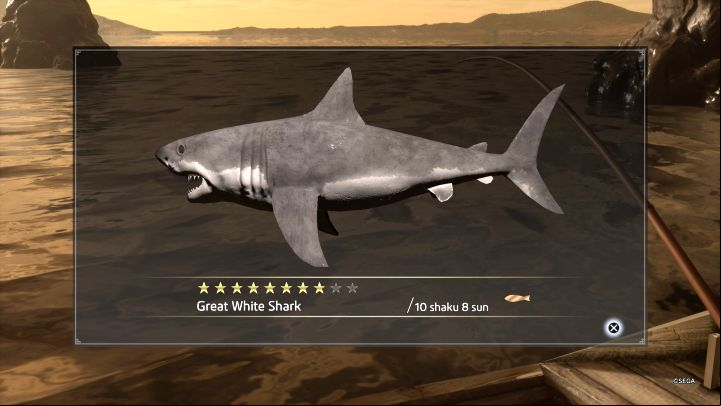 If you succeeded, you will receive information about the species and rarity of the caught fish (more stars = rarer) - Like a Dragon Ishin: Fishing mini-game - Secrets and activities - Like a Dragon Ishin Guide