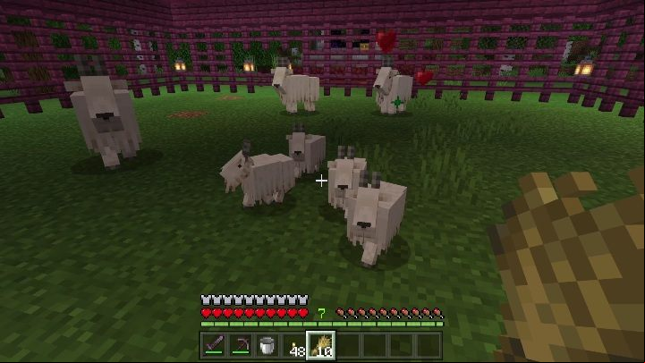 Achievement description: Get in the boat with a goat - Minecraft Caves & Cliffs: Achievements - list - Minecraft Caves & Cliffs Update - Minecraft Guide